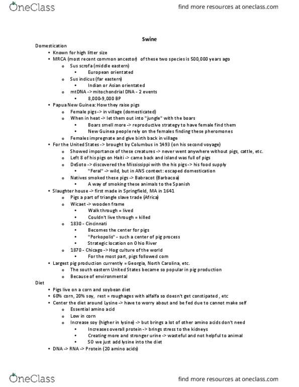 ANS 1 Lecture Notes - Lecture 6: Wild Boar, Essential Amino Acid, Barbacoa thumbnail