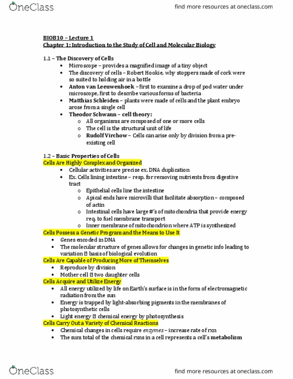 BIOB10Y3 Lecture Notes - Lecture 1: Antonie Van Leeuwenhoek, Endoplasmic Reticulum, Matthias Jakob Schleiden thumbnail