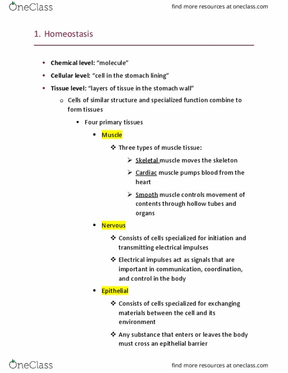 PHYS 215 Lecture Notes - Lecture 1: Loose Connective Tissue, Epithelium, Skeletal Muscle thumbnail