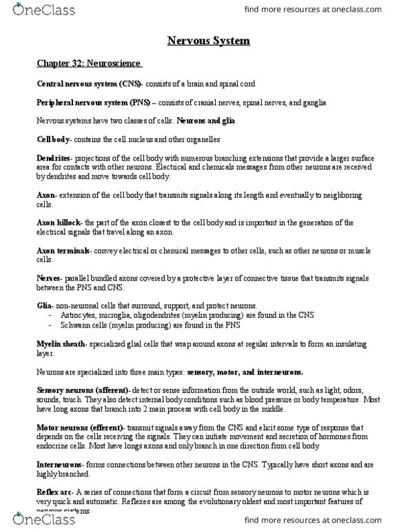 BISC208 Lecture Notes - Lecture 14: Voltage-Gated Potassium Channel, Resting Potential, Central Nervous System thumbnail