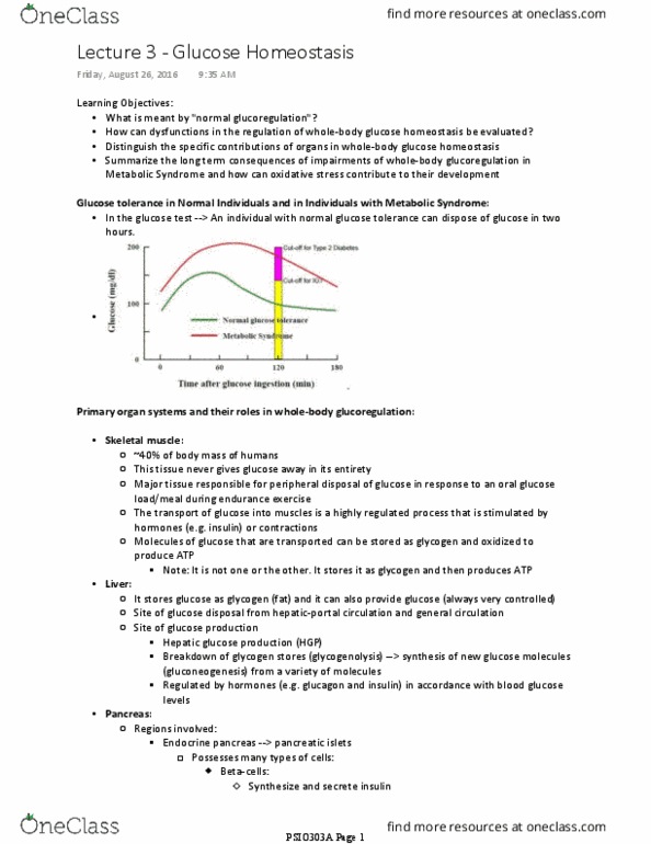 PSIO 303A Lecture Notes - Lecture 4: Carbohydrate Metabolism, Pancreatic Islets, Impaired Glucose Tolerance thumbnail