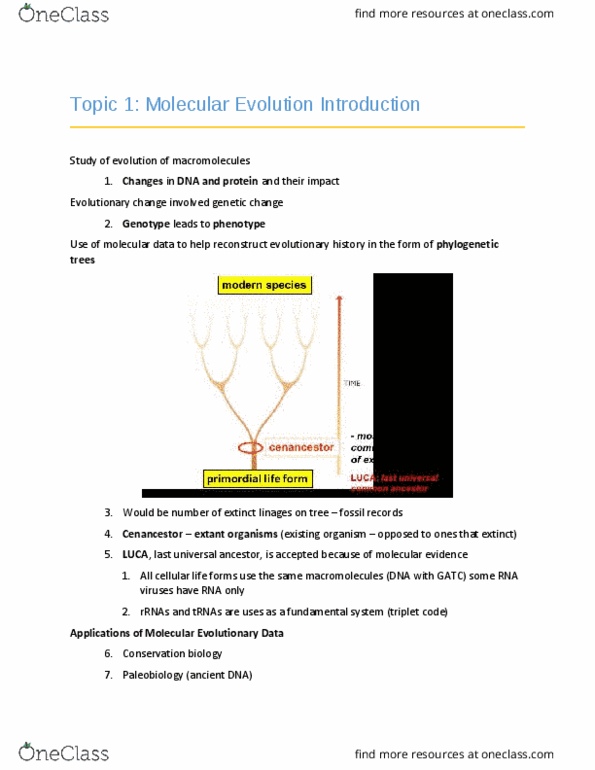 BIO 3102 Lecture Notes - Lecture 1: Tumor Suppressor Gene, Phasmatodea, Gene Duplication thumbnail