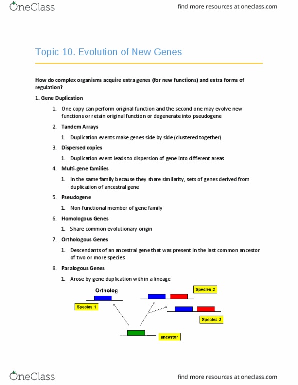 BIO 3102 Lecture Notes - Lecture 10: Tumor Suppressor Gene, Gene Duplication, Pseudogene thumbnail