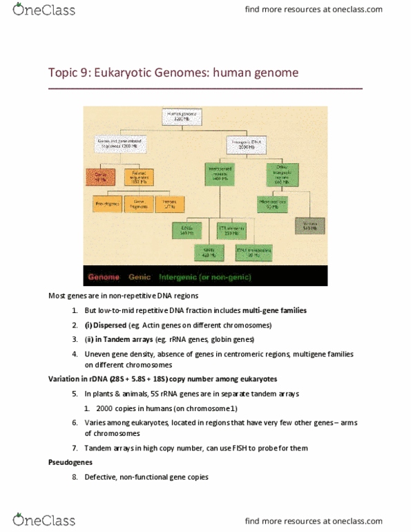 BPS 3101 Lecture Notes - Lecture 9: Tandemly Arrayed Genes, Alu Element, Tandem Repeat thumbnail