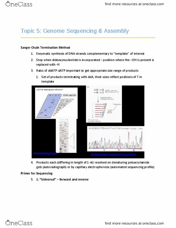 BPS 3101 Lecture Notes - Lecture 5: Oligomer, Contig, Capillary Electrophoresis thumbnail