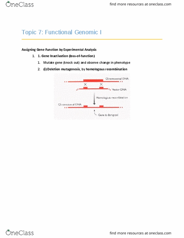 BPS 3101 Lecture Notes - Lecture 7: Fluorescent Tag, Hybridization Probe, Oligomer thumbnail