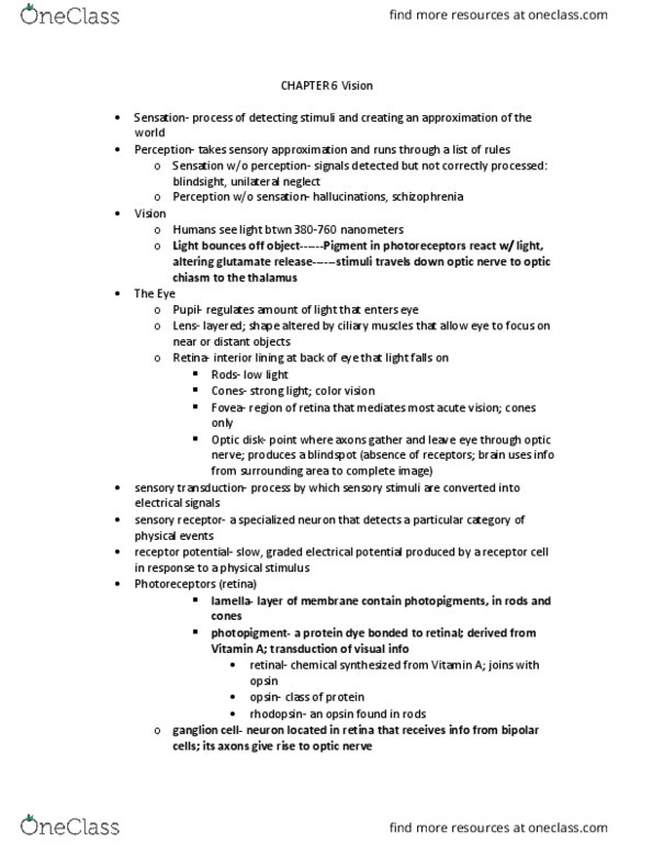 PSYC314 Lecture Notes - Lecture 6: Membrane Potential, Optic Chiasm, Hemispatial Neglect thumbnail