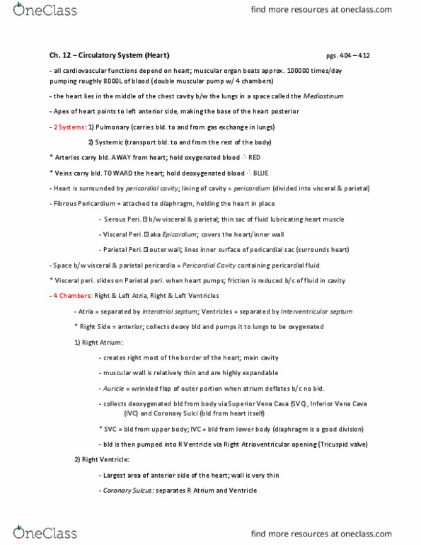 ANAT 101 Lecture Notes - Lecture 13: Inferior Vena Cava, Interatrial Septum, Left Atrioventricular Orifice thumbnail