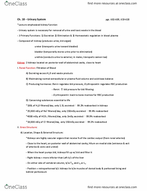 ANAT 101 Lecture Notes - Lecture 20: Interlobular Arteries, Renal Artery, Renal Pelvis thumbnail