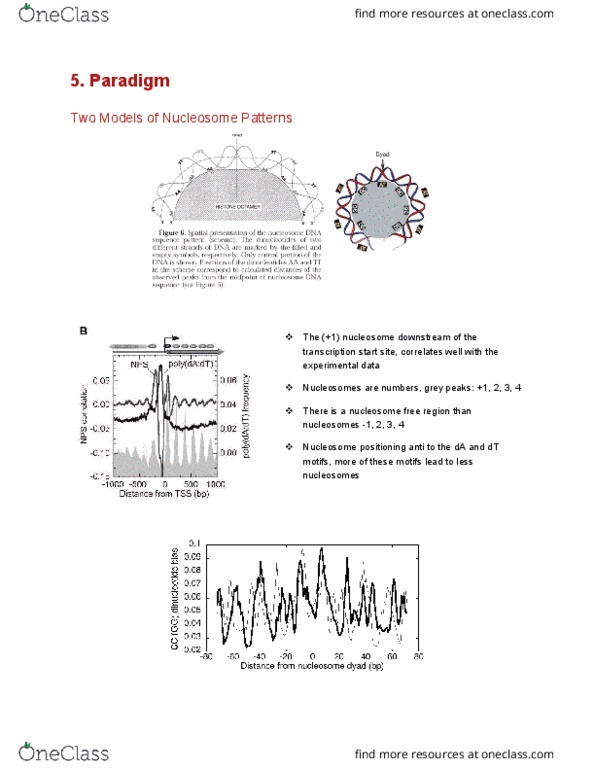 document preview image