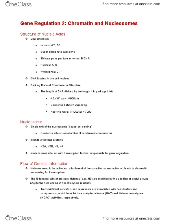 BCH 4300 Lecture Notes - Lecture 4: Histone Acetyltransferase, Nucleosome, Lysine thumbnail