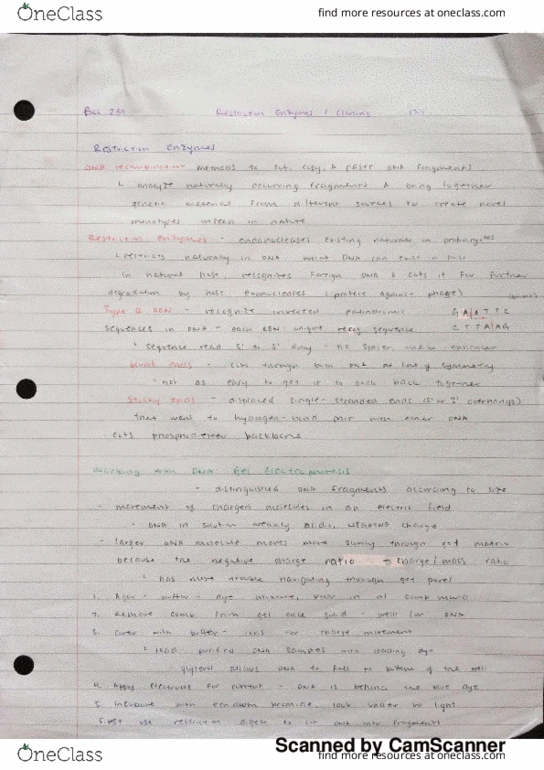 BIOL239 Lecture 18: biol 239 - 18. restriction enzymes, cloning thumbnail