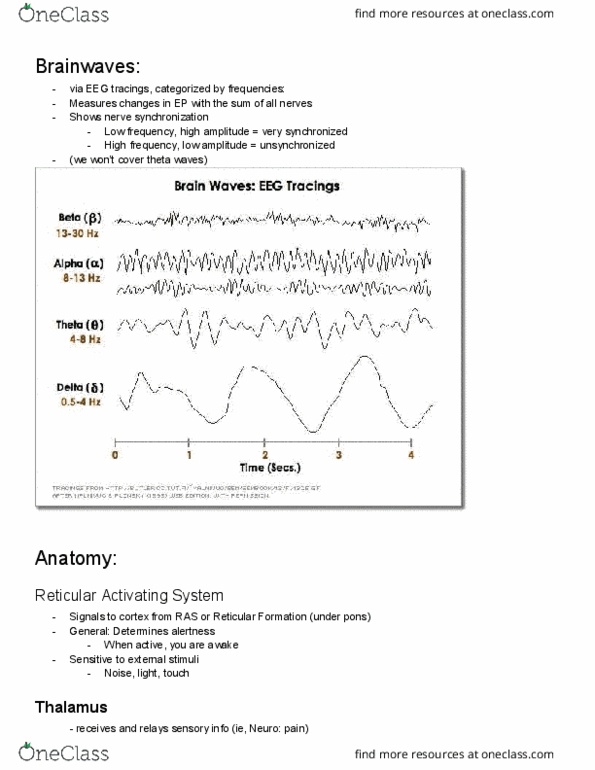 PHRX 4040 Lecture Notes - Lecture 2: Reticular Formation, Periaqueductal Gray, Locus Coeruleus thumbnail