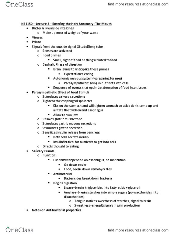 NS 1150 Lecture Notes - Lecture 3: Esophagus, Stomach, Dental Caries thumbnail