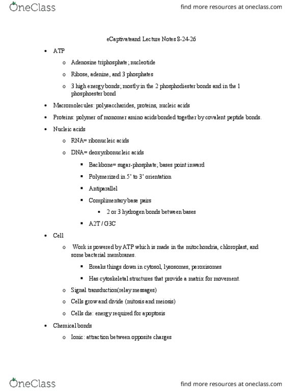 BIOL 3800 Lecture Notes - Lecture 1: Adenosine Triphosphate, Phosphodiester Bond, Carboxylic Acid thumbnail