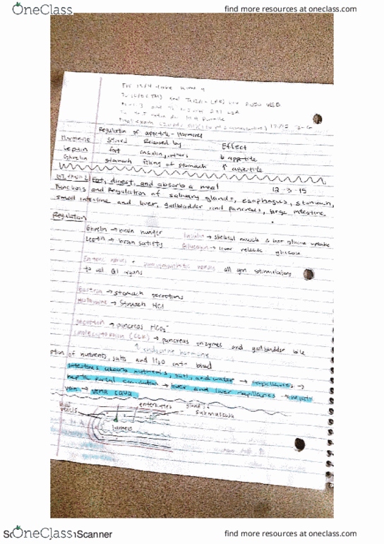 document preview image