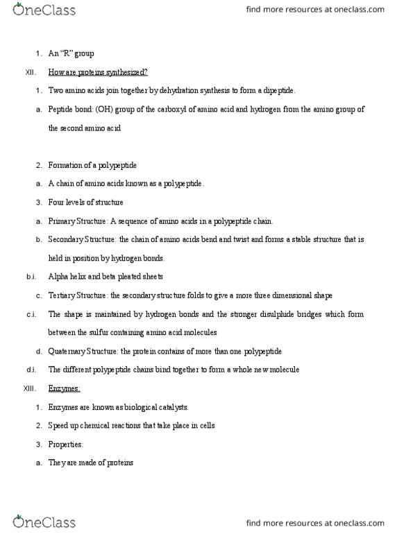 BIOL-AD 101 Lecture Notes - Lecture 4: Beta Sheet, Hydrogen Peroxide, Alpha Helix thumbnail