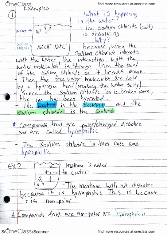 BIOL 302 Lecture 3: Examples and some Definitions thumbnail