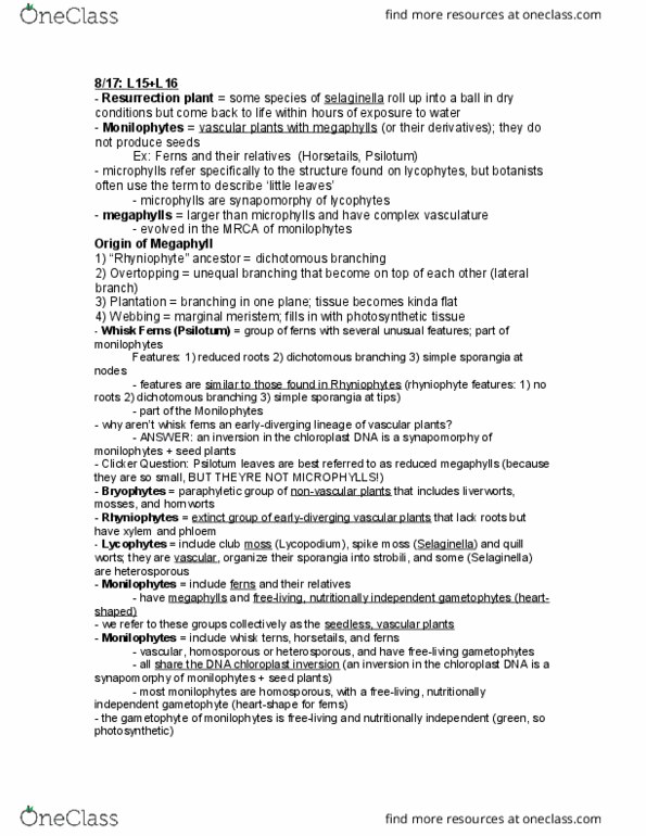 BIS 2C Lecture Notes - Lecture 15: Fern, Rhyniopsida, Selaginella thumbnail