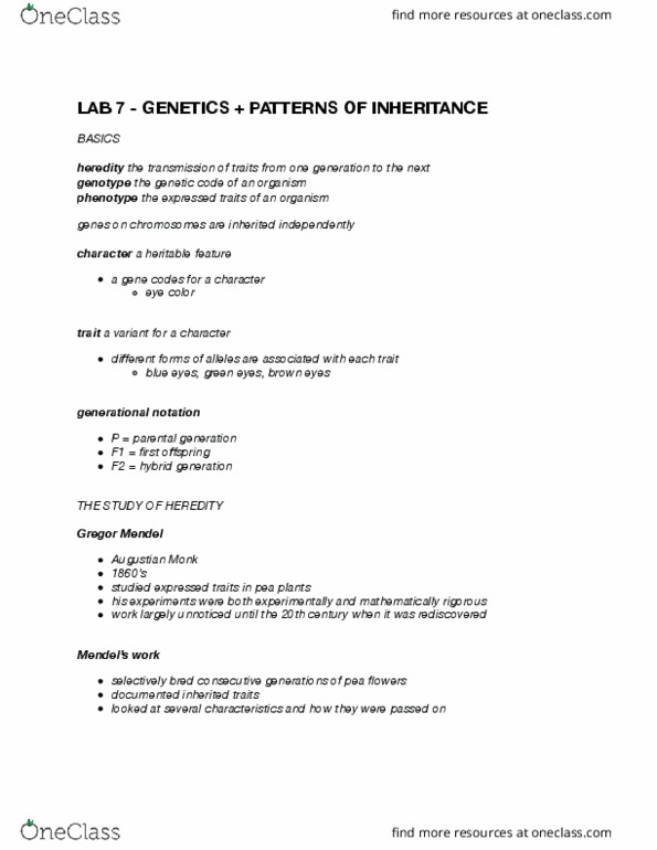 BIOL 1541L Lecture Notes - Lecture 7: Gregor Mendel, F1 Hybrid, Selective Breeding thumbnail