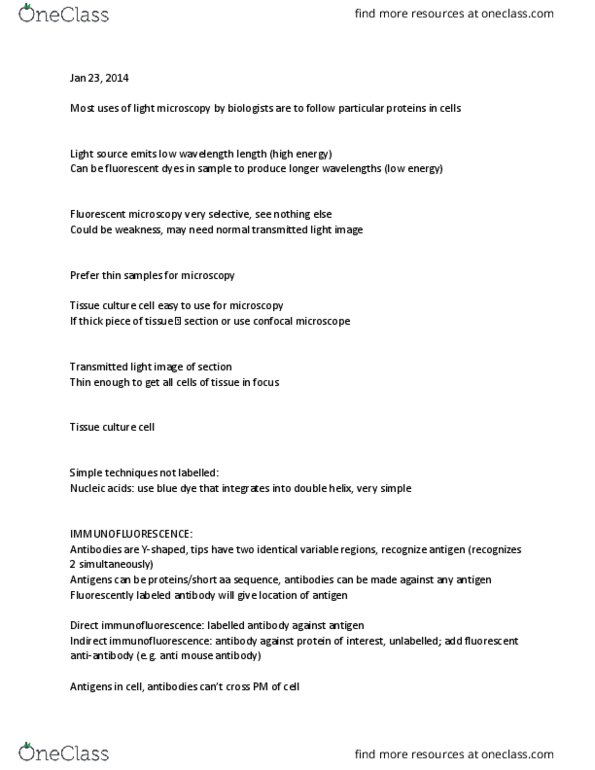 ANAT 262 Lecture Notes - Lecture 5: Fluorescence Microscope, Bright-Field Microscopy, Confocal Microscopy thumbnail