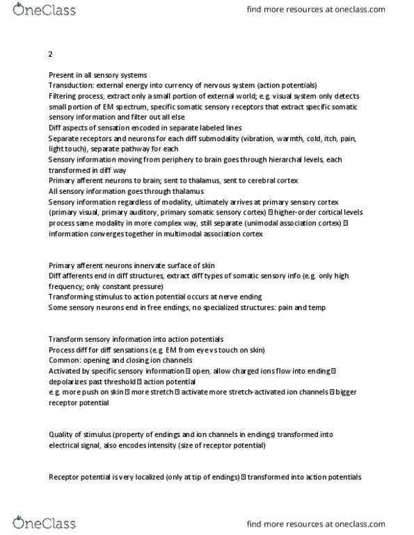 ANAT 321 Lecture Notes - Lecture 6: Postcentral Gyrus, Somatic Nervous System, Afferent Nerve Fiber thumbnail