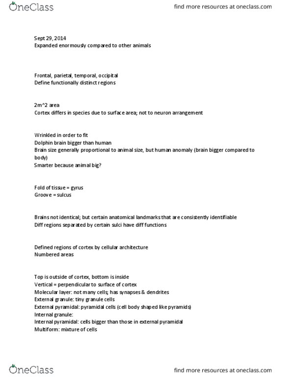 ANAT 321 Lecture Notes - Lecture 9: Franz Nissl, Golgi'S Method, Granule Cell thumbnail