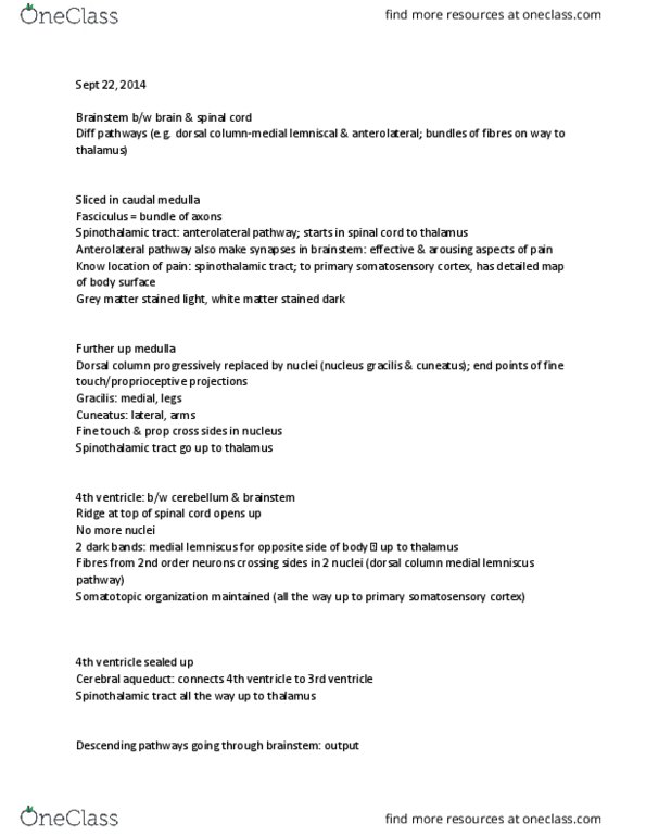 ANAT 321 Lecture Notes - Lecture 8: Cranial Nerve Nucleus, Medial Lemniscus, Spinothalamic Tract thumbnail