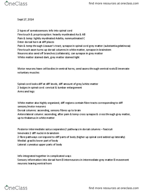 ANAT 321 Lecture Notes - Lecture 4: Substantia Gelatinosa Of Rolando, Posterior Grey Column, Posterior Column thumbnail