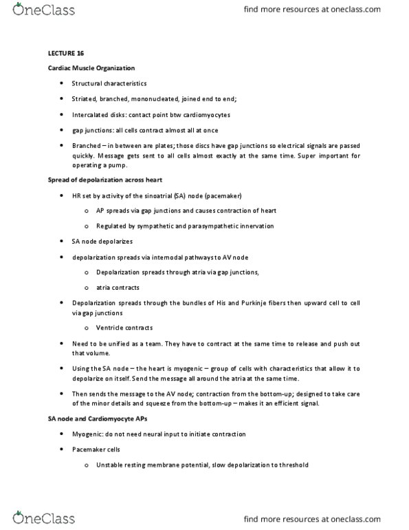 BIO 3303 Lecture Notes - Lecture 16: Caldesmon, Swim Bladder, Skeletal Muscle thumbnail