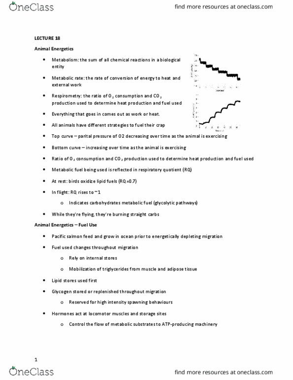 BIO 3303 Lecture Notes - Lecture 18: Respirometry, Respiratory Quotient, Antoine Lavoisier thumbnail