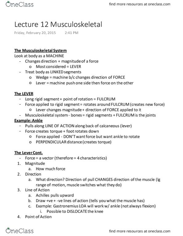 Kinesiology 2241A/B Lecture Notes - Lecture 12: Human Musculoskeletal System, Length Overall, Scapula thumbnail