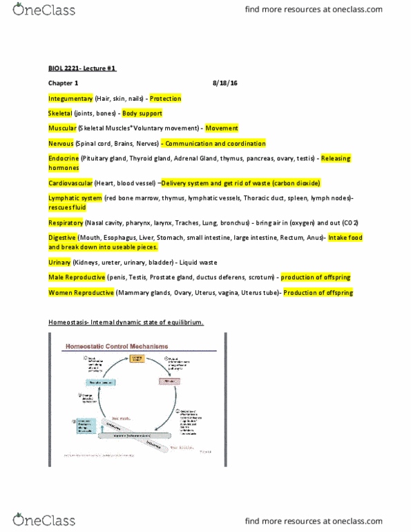 BIOL 2221 Lecture Notes - Lecture 1: Vas Deferens, Bone Marrow, Urinary Bladder thumbnail