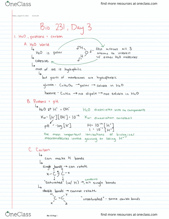BIOL 23100 Lecture 3: Biological Chemistry- pH/pK, functional groups thumbnail