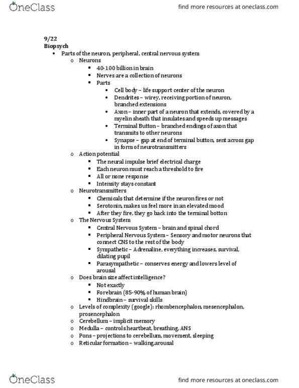 PSY-2012 Lecture Notes - Lecture 2: Peripheral Nervous System, Central Nervous System, Axon Terminal thumbnail