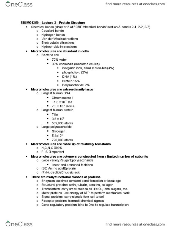 BIOMG 1350 Lecture Notes - Lecture 3: Covalent Bond, Protein Folding, Dehydration Reaction thumbnail