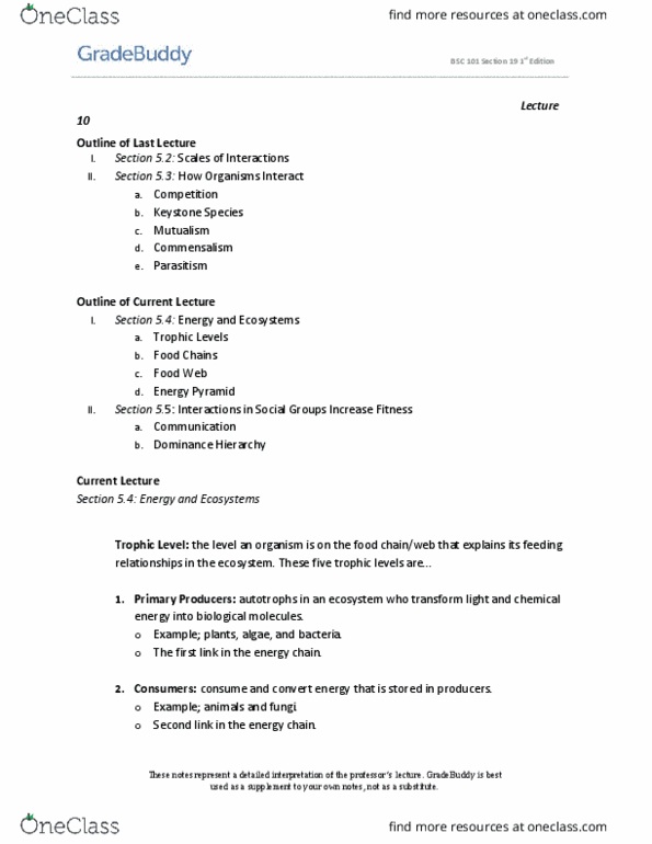 BSC 101 Lecture Notes - Lecture 11: Herbivore, Commensalism, Decomposer thumbnail