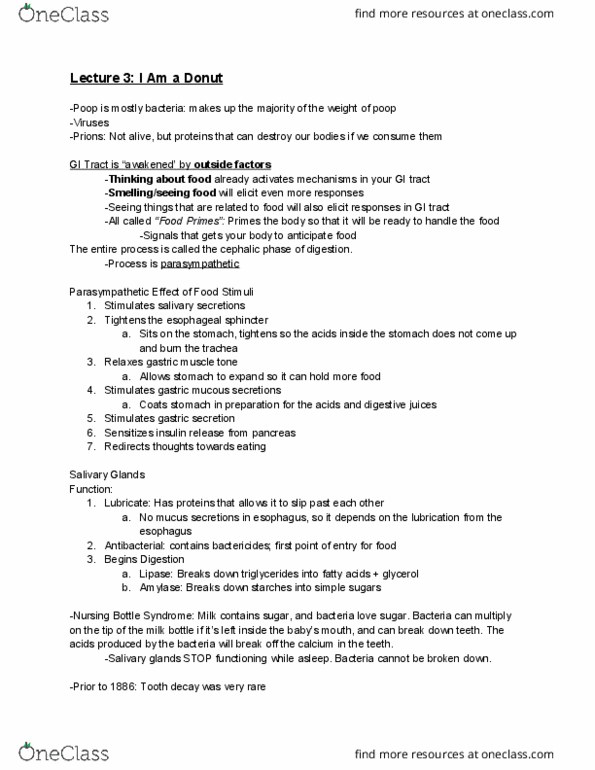 NS 1150 Lecture Notes - Lecture 3: Esophagus, Salivary Gland, Stomach thumbnail