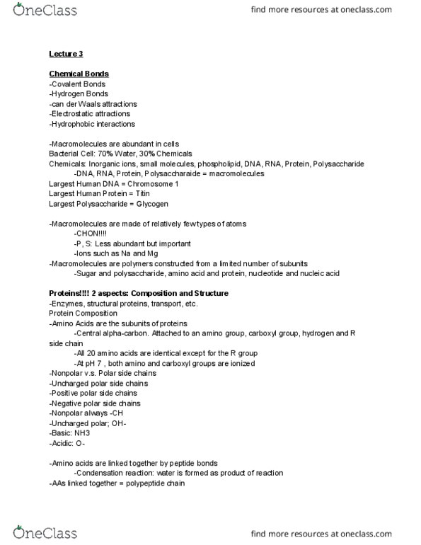 BIOMG 1350 Lecture Notes - Lecture 3: Protein Folding, Hydrogen Bond, Titin thumbnail