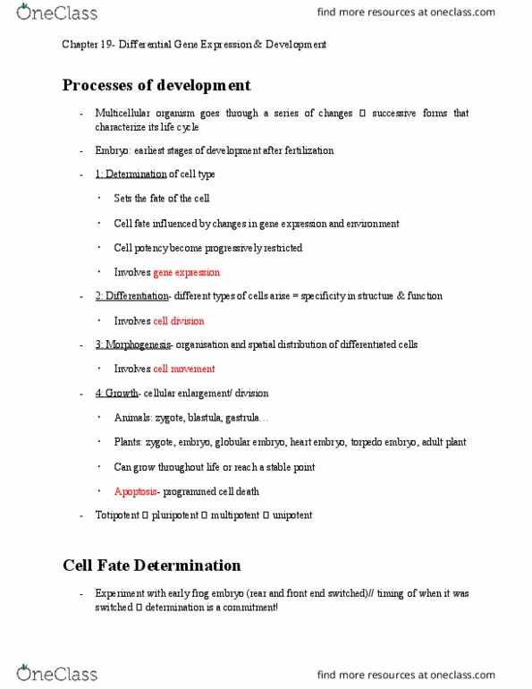 BIOS10162 Lecture Notes - Lecture 4: Limb Development, Paracrine Signalling, Pattern Formation thumbnail