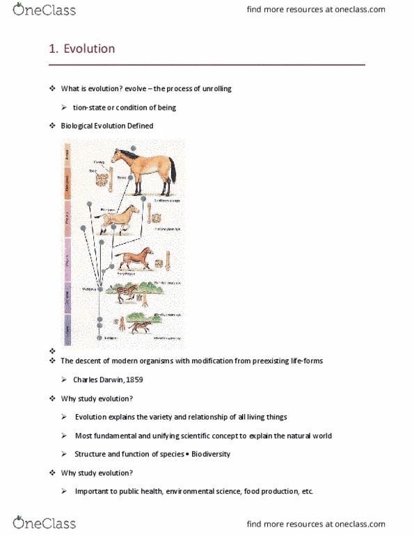 BSC 2010 Lecture Notes - Lecture 1: Polyploid, Gene Flow, Sympatric Speciation thumbnail