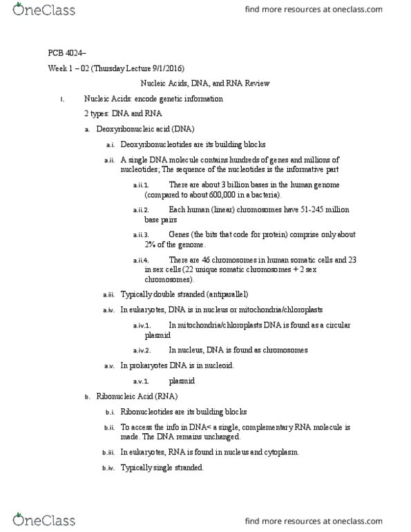 PCB-4024 Lecture Notes - Lecture 2: Nitrogenous Base, Cell Nucleus, Plasmid thumbnail