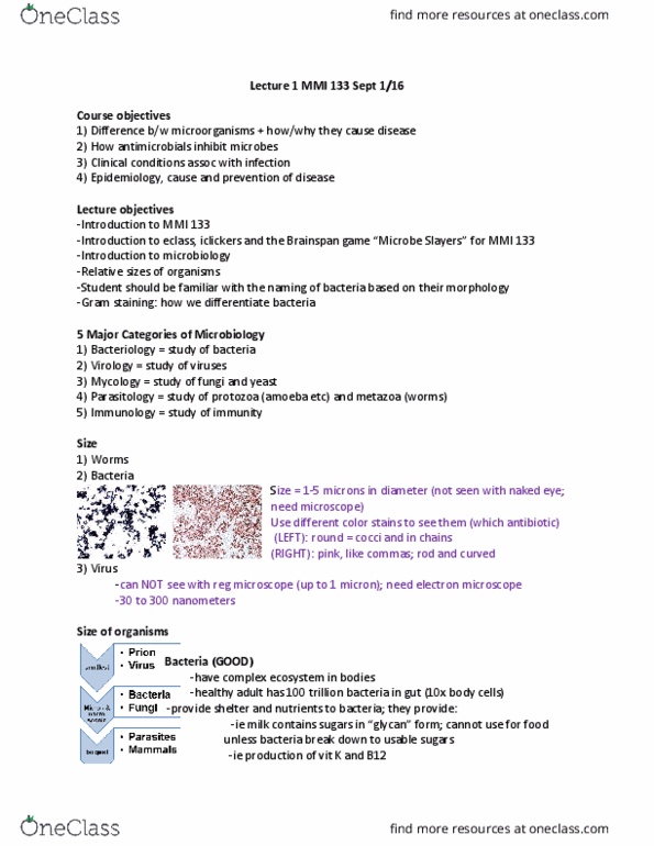 MMI133 Lecture Notes - Lecture 1: Prokaryote, Glycan, Gram Staining thumbnail