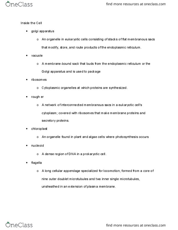 01:119:101 Lecture Notes - Lecture 31: Multicellular Organism, Lysosome, Chromatin thumbnail