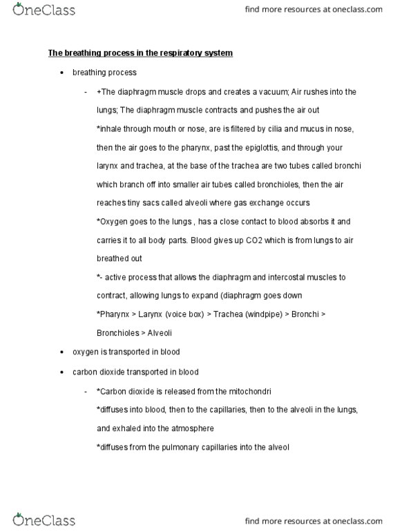 01:119:101 Lecture Notes - Lecture 20: Hemoglobin, Intercostal Muscle, Epiglottis thumbnail