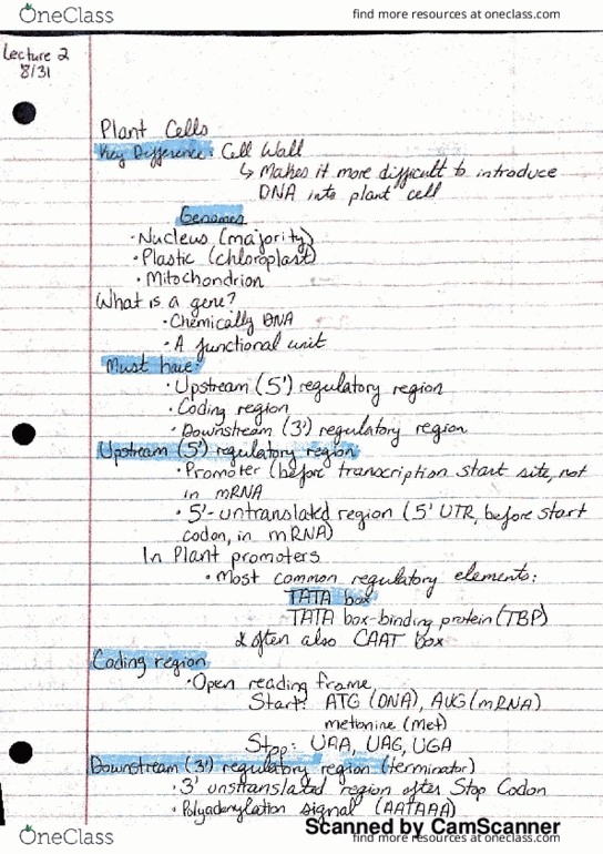 BOT 4734C Lecture 2: Plant cells and Genomes thumbnail