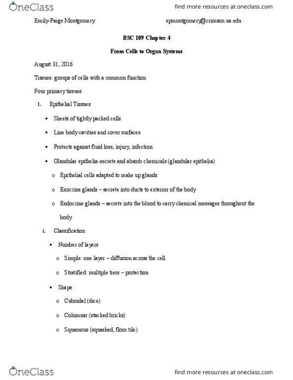 BSC 109 Lecture Notes - Lecture 5: Chondroblast, Synovial Membrane, Cartilage thumbnail