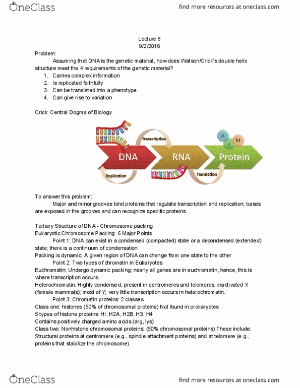 BIOL 313 Lecture Notes - Lecture 6: Histone H2A, Histone H2B, Euchromatin thumbnail