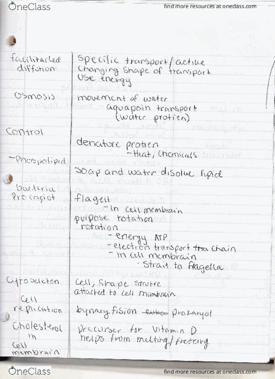 BIOLOGY 101 Lecture 4: 9.2.16 part three thumbnail