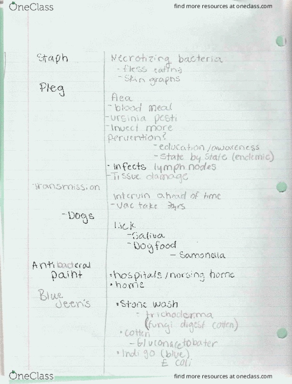 BIOLOGY 101 Lecture 1: 8.24.16 part two thumbnail